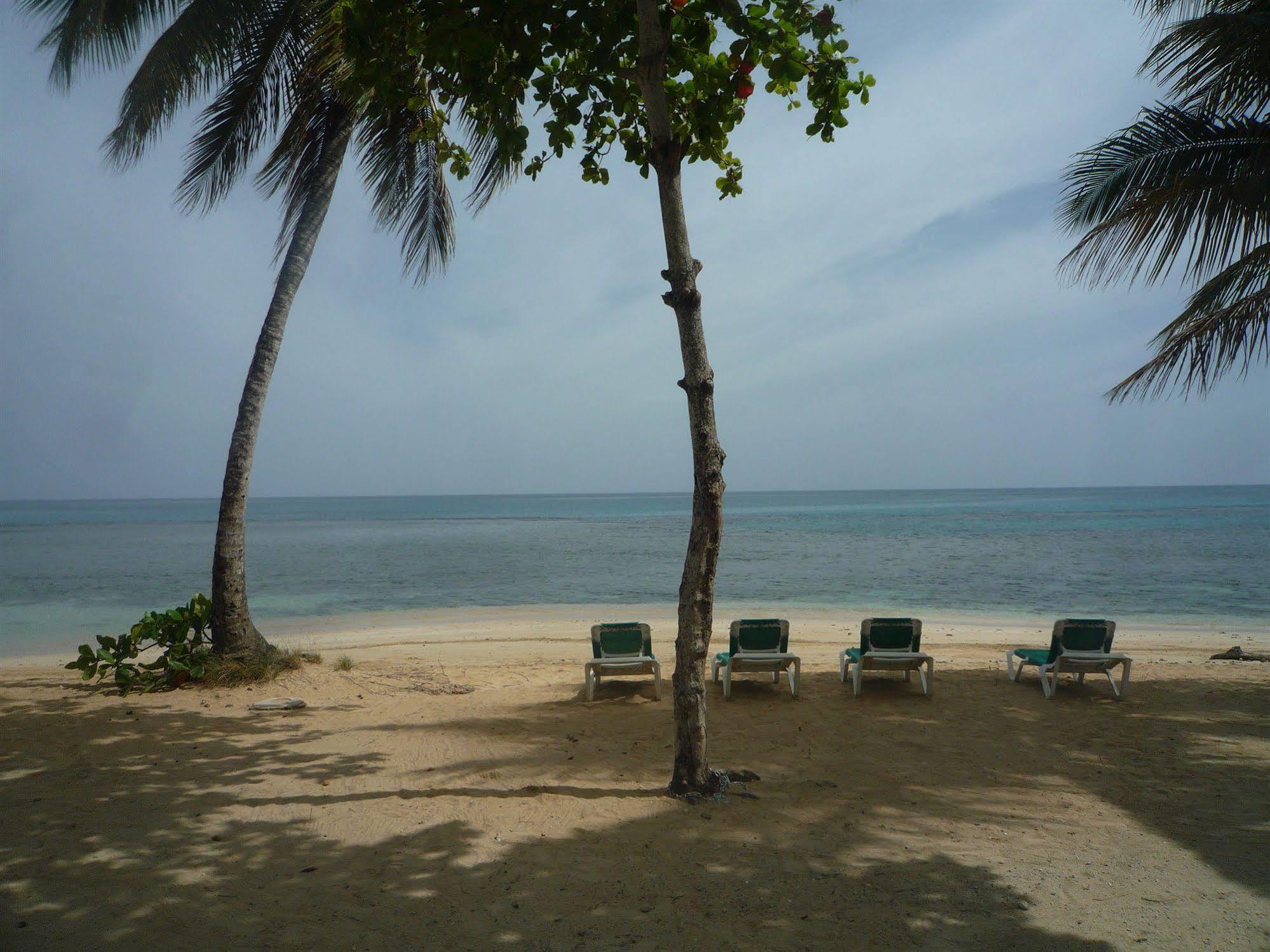 La Dolce Vita Residence Las Terrenas Konforlar fotoğraf